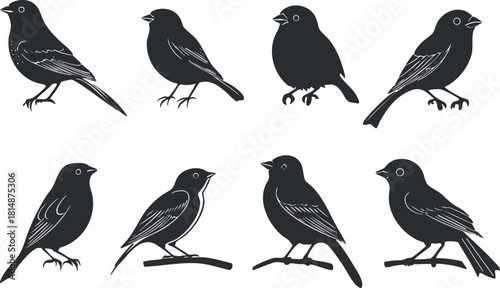 Silhouette vector illustration set of various bird designs for nature-themed projects and graphic design applications