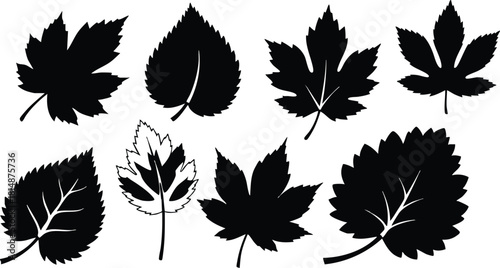 Various black silhouettes of leaves in different shapes and sizes for nature-themed designs and illustrations 