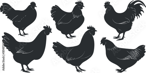 Set of six chicken silhouettes in various poses, perfect for farm-related designs and illustrations.