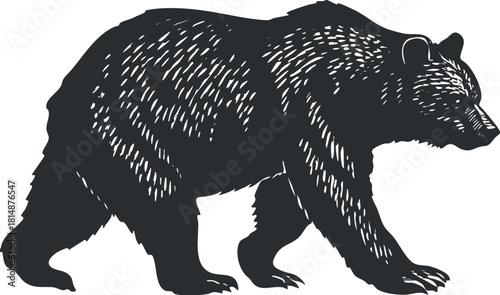 Black and white silhouette illustration of a walking bear, showcasing its powerful and wild nature.