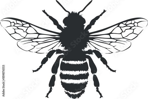 Black and white silhouette of a bee with detailed wings and body, emphasizing symmetry.