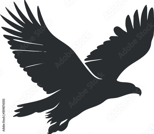 Silhouette of a bird in flight with wide wings, representing freedom and wildlife.
