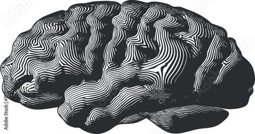 Abstract black and white line art illustration of a brain with intricate patterns.