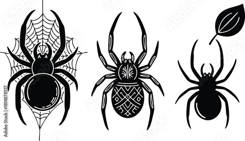 Spider vector illustrations featuring various designs and styles for creative projects and graphic needs 