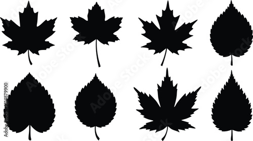 Leaf silhouettes in various shapes for nature-themed designs and illustrations 