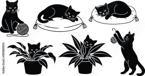 Playful black cats engaging with yarn and plants in various adorable poses for cat lovers 