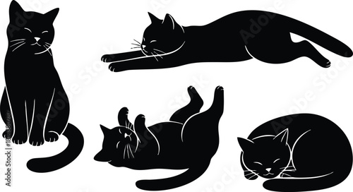 Playful black cats in various poses showcasing flexibility and charm for animal lovers and cat enthusiasts 