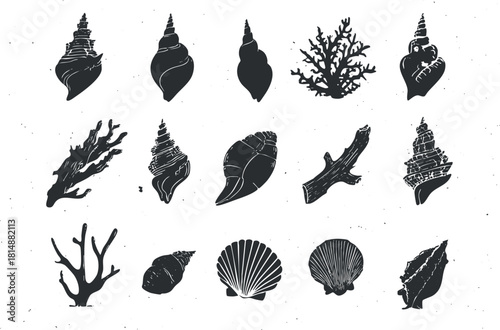 Collection of black and white seashell and coral illustrations on a speckled background.