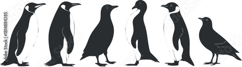 Silhouette illustration of various penguins in black and white, showcasing different poses and forms.