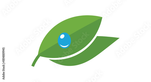 Minimalist leaf with a blue drop