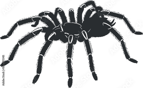 Detailed black silhouette vector illustration of a spider, perfect for nature-themed designs and educational projects