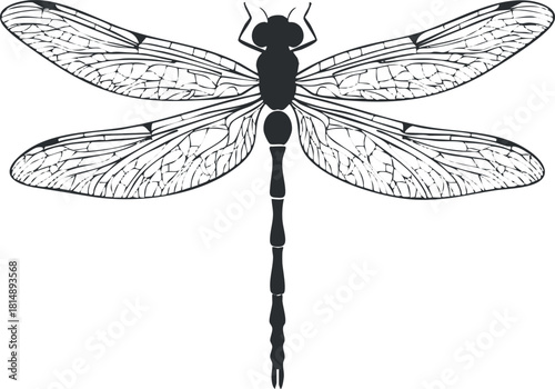 Elegant black silhouette vector illustration of a dragonfly with intricate wing details, perfect for nature-themed design projects.