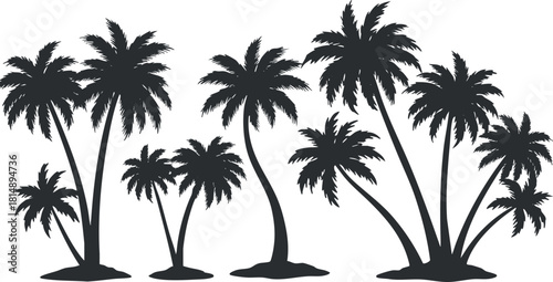 Silhouette vector illustration of various palm trees in a tropical setting for landscape design and branding projects
