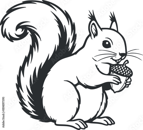 Cute black and white vector illustration of a squirrel holding an acorn, ideal for nature-themed designs and educational materials