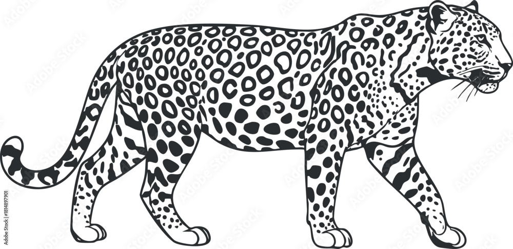Naklejka premium Stylized black and white vector illustration of a leopard walking, perfect for wildlife-themed designs and branding.