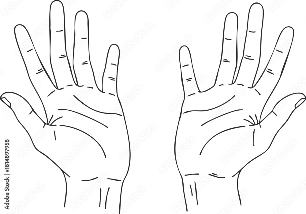 Obraz premium Outline vector illustration of open hands showing various gestures for communication and artistic expression