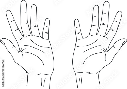 Outline vector illustration of open hands showing various gestures for communication and artistic expression