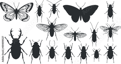 Collection of black silhouette vector illustrations featuring various insects like butterflies and beetles for design projects.