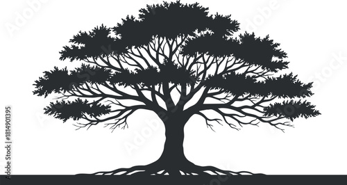 Detailed silhouette vector illustration of a large tree with intricate branches and roots for environmental design projects