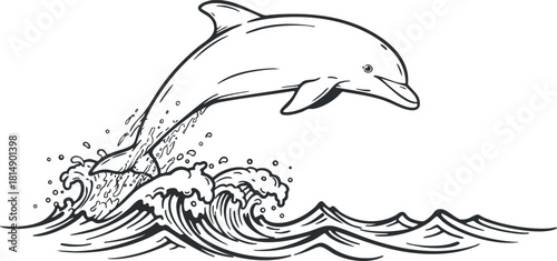 Outline vector illustration of a dolphin jumping over ocean waves, perfect for marine-themed designs and branding projects