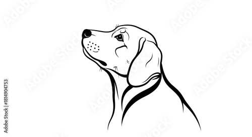Elegant Line Art Portrait of a Dog Looking Upwards.