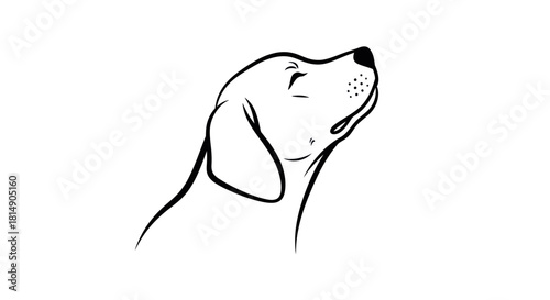 Elegant Canine Silhouette: A Dogs Serene Profile in Black and White.