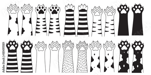 Black and white cat tail pattern design vector illustration