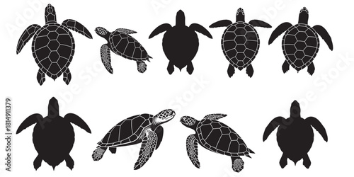 Sea turtle silhouette collection with diverse poses and angles for design
