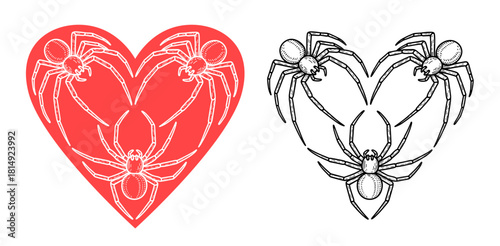 three spiders in a heart shape design illustration