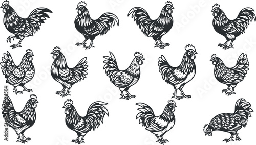Hand-drawn vector collection of roosters and chickens in black and white, ideal for farm-themed designs
