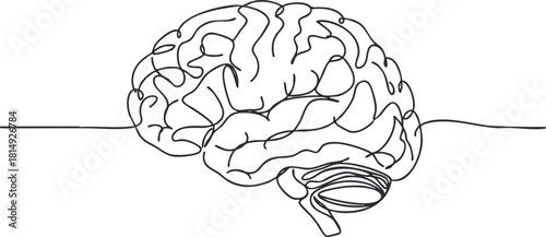 Outline vector illustration of a human brain symbolizing intelligence and cognitive processes for educational and medical design projects