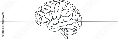 Minimalist outline vector illustration of a brain for educational and psychological concepts in design projects
