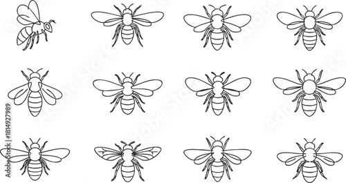 Outline vector icon set featuring various bee illustrations suitable for nature-themed projects and educational materials