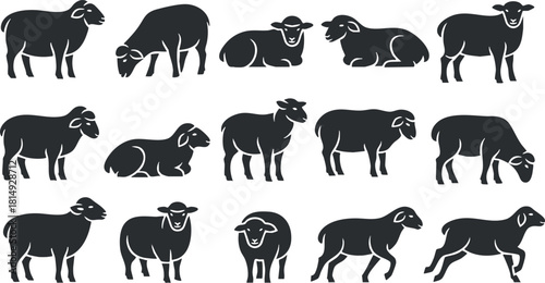Collection of black silhouette vector illustrations of sheep in various poses for agricultural and rural design projects
