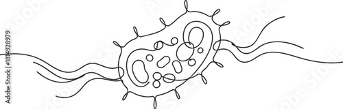 Minimalist line art illustration of a bacteria cell, suitable for educational and scientific design projects