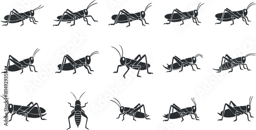 Vector icon set featuring various poses of grasshoppers in a minimalist black and white style for educational or design purposes