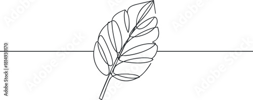 Minimalist line art illustration of a single leaf, perfect for botanical designs and nature-themed projects