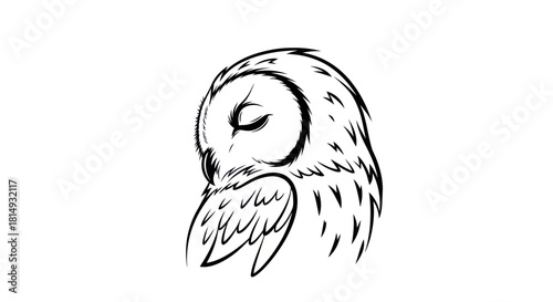 Simple black and white line art of a sleeping owl.