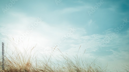 minimalistic bright outdoor landscape, open field with soft breeze, gentle sunlight, clean blue sky, symbol of clean air and healthy breathing, airy