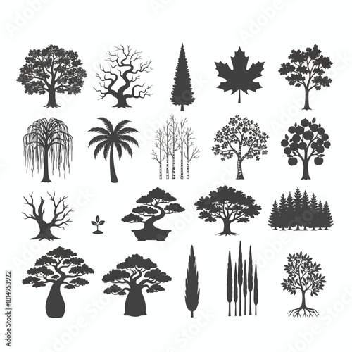 Tree and forest silhouettes collection in dark gray featuring various species oak palm pine maple and botanical elements for nature landscape designs