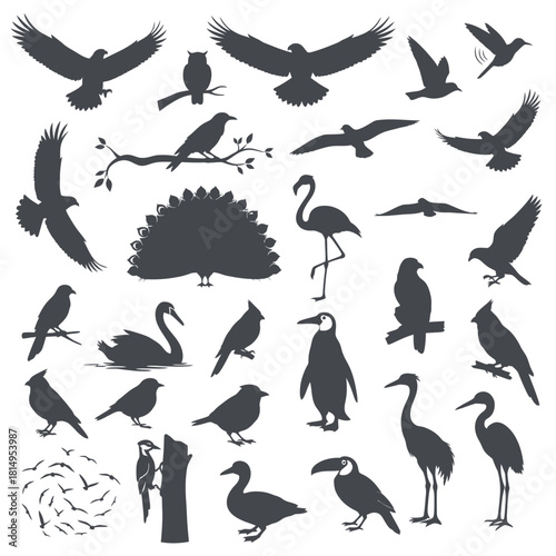 Bird silhouettes collection in dark gray featuring eagles owls flamingos penguins and various flying species for wildlife and nature themed vector designs