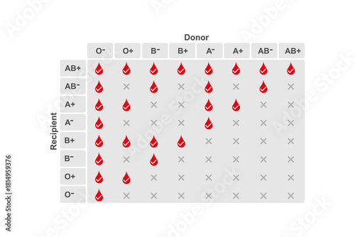 Abo Blood Types Compatibility Science Design. Vector Illustration.