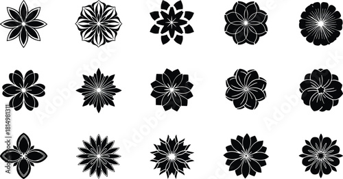 Elegant Floral Vector Set Black and White Flower Designs