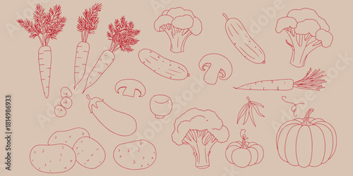Red outline drawing of various vegetables including carrots broccoli and potatoes