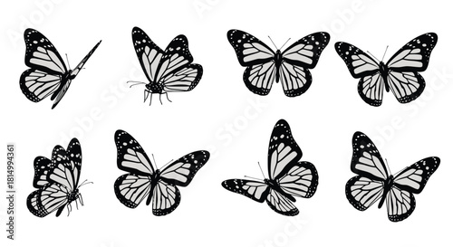 A collection of monochrome butterflies in various flight poses and angles