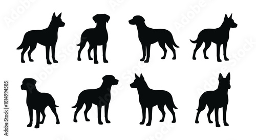 Diverse silhouettes of various dog breeds standing in different poses