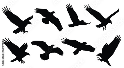 A collection of black silhouettes depicting eagles in various flight poses