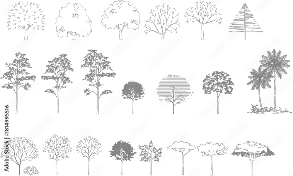 Fototapeta premium A comprehensive vector line art set of 23 architectural trees in elevation view, featuring diverse species from conifers to palms, with and without leaves.