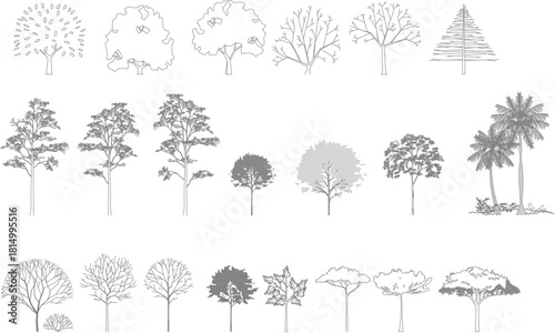A comprehensive vector line art set of 23 architectural trees in elevation view, featuring diverse species from conifers to palms, with and without leaves.