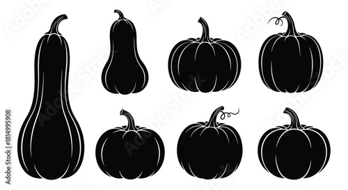 Variety of black and white pumpkin and gourd silhouettes for autumn designs
